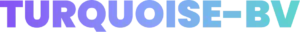 turquoise-bv.com
